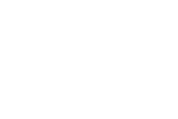 Wholesome World logo